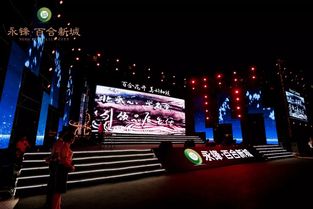 永鋒·百合新城璀璨亮相，龐龍獻(xiàn)唱引爆武城文化新篇章