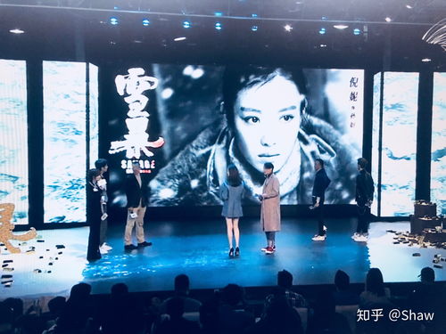 影視行業(yè)資源整合平臺(tái) 連接人才與機(jī)遇的專(zhuān)業(yè)橋梁